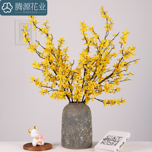 ��֧ӭ���� ��������潁�� �Ҿӿ͏d�͏d�b����Ͳ�����ػ�����