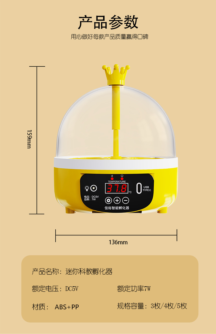 画板 13.png