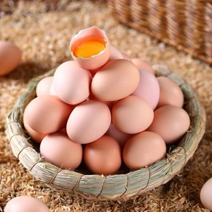 �r��ɢ�B���r���u��40ö���������u����ö40g�F�����u��