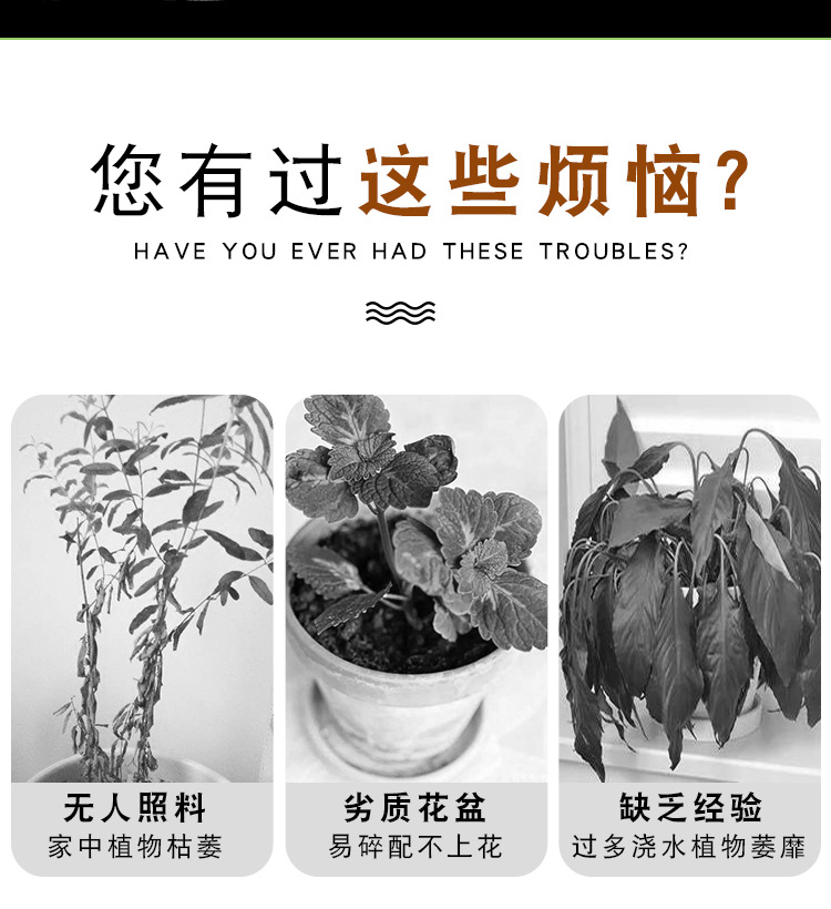 详情2_02.png