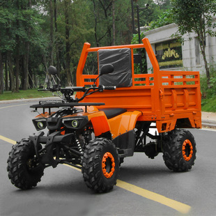 ȫ���Ύ���ɳ��܇ԽҰ��݆܇������؛�r��܇�S��ֱ�NС����125ATV