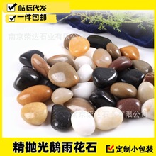 天然高光精品混色五彩石雨花石鹅卵石园林仿真盆栽鱼缸家装铺路石