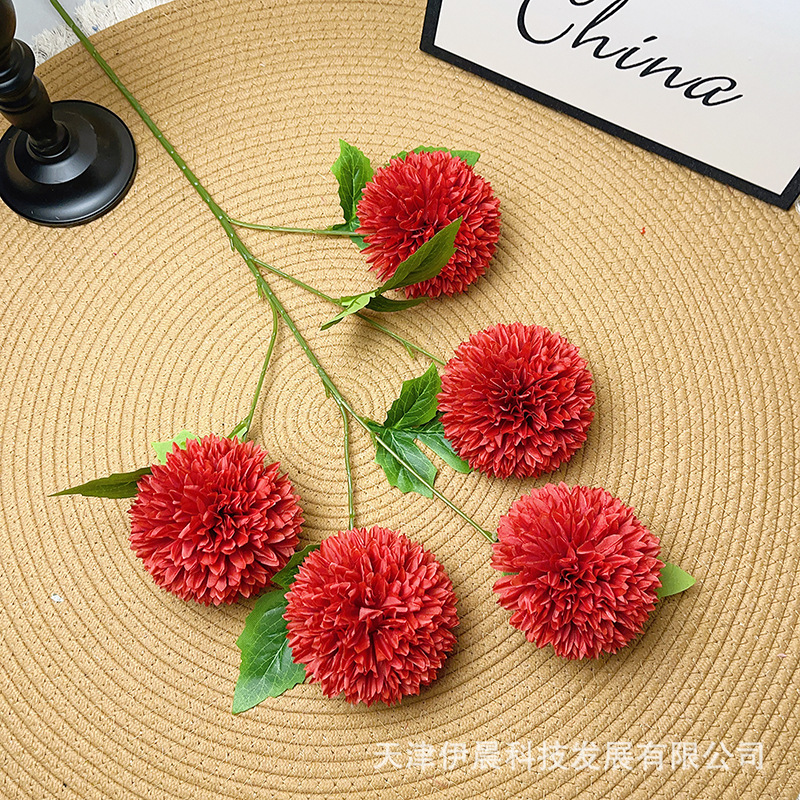 5등구 국화-빨간색