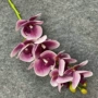 家居布置打印桌面仿真花