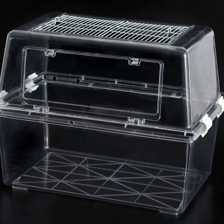 Pet Boll Cage Cage Deluxe Полная прозрачная клетка Золотые медведи углубляют прозрачную голую клетку