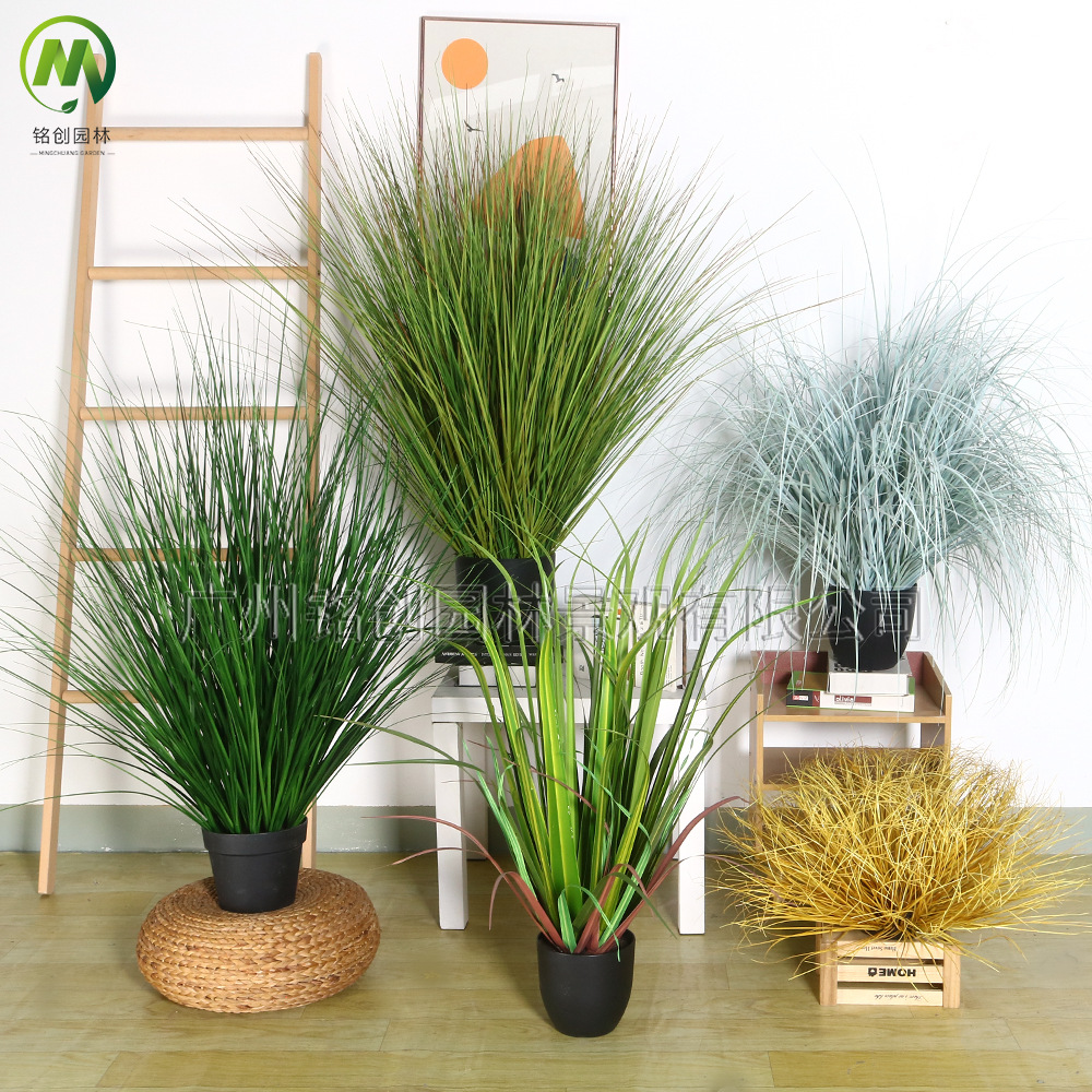 Imprescindible para que las celebridades de Internet se metan en la simulación de cañas, plantas en macetas, plantas de cebolla, decoración de muebles, plantas de simulación de cañas