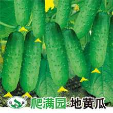 �o�����M���S�ϷN�ѷN�������ļ��������߲����Դ���ˮ���̨����