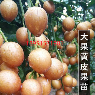 劳动节手抄报一等奖