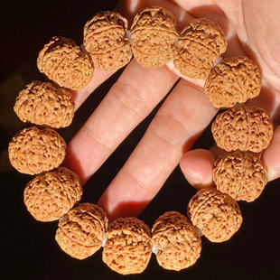 �����Ჴ��������������,�ֽ��p��,�ߙn�ִ��п�P��������¿�