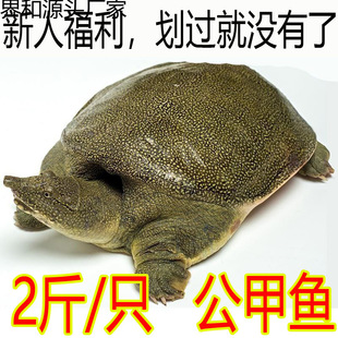 ���~�r����]ʳ���Bֳ�uζС���~��С���A�Mˮ�~�F�~�������S