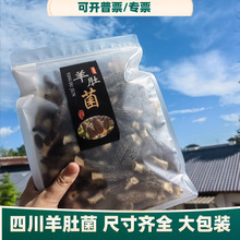 羊肚菌干货一斤产地直发批发散货头茬菌菇干货正宗菌菇包煲汤菌包