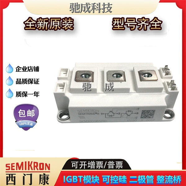 SKM300GB125D