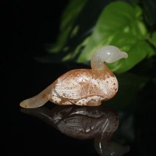 ���R�d�羳�¹�����С���ӵ������� ����������x������������l