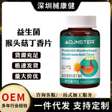 AOJNSTER�ļ�˹���������^������Ƭ��Ƭ�ǹ��׽�Ƭ�F؛���l���l