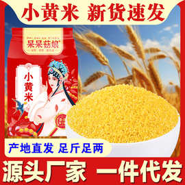 黄小米新小黄米1斤农家自产食用好吃米脂五谷杂粮食糯小米粥