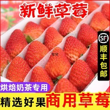 pļݮrˮ̲決ƷǺJS]