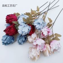 �����㻨��ײ˻�c�廨�����bҾӔ[���ٻ��羳���Q��c�b�