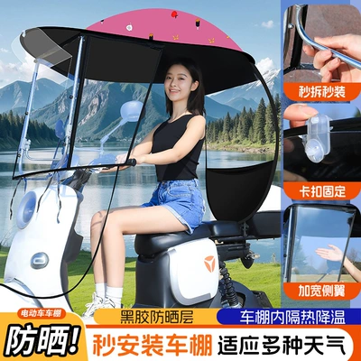 Rain Shield Umbrella, Elektromobil üçün ön şüşə çətiri (günlük) - side-curtain-style-pink-