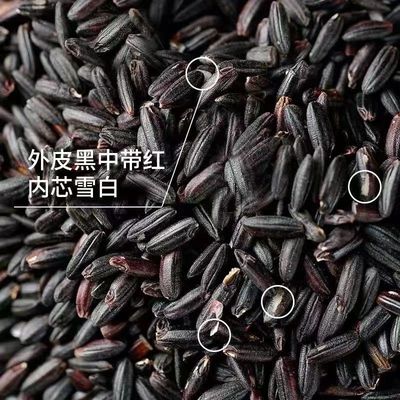 黑米5斤新東北農家無染色黑紫血糯米香米甜品五谷雜糧粥100g包郵