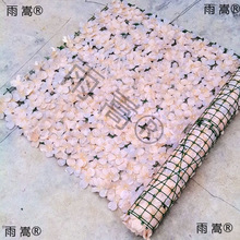 ���滨�����h�ʇ��ڻ��@ͥԺ�ړ�ֲ��ڗU�b�c����õ�廨��