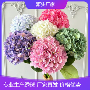216Ƭ 3d��ʽ����ߙn���滨��c��Y�������û�ˇ�廨���Q����