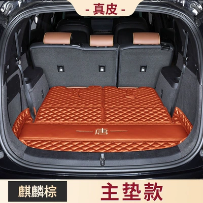 Trunk Mat full coverage for 2024 Tang - cognac-brown-main-cushionminimalism-default-item