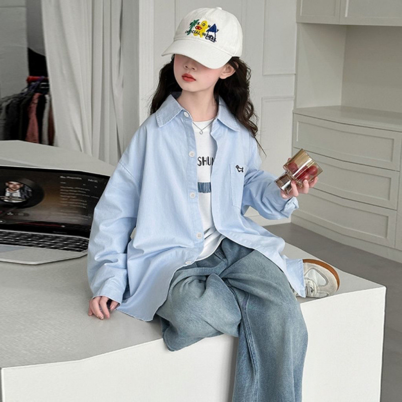 파란색 싱글 셔츠