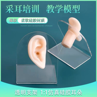 �ɶ���������ģ�͹��z������׶�������ģ�ͽ̌W��Ӗģ��