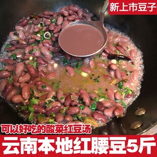 �tܿ�� �r���Ԯa����خa��t���t��������5��ɢ�b�tܿ���N���s�Z