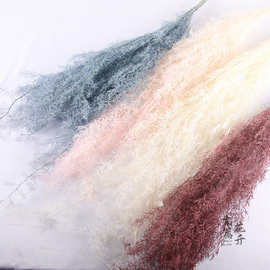 批发永生花天门冬婚礼礼盒玻璃罩浮游花材保鲜冬丝装饰花束