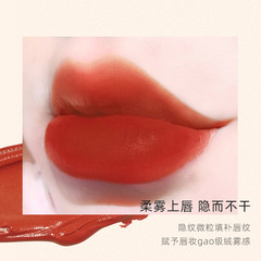 TDL red tube lip glaze tomato color rose perfume concealer air cushion BB makeup set gift box delivery