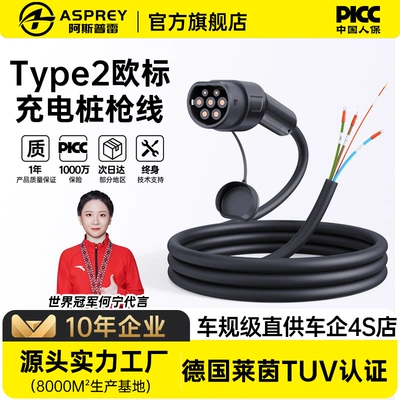 European Standard Charging Gun Cable 7/22Kw Electric Vehicle Charging Cable Suitable for Tesla, Mercedes-Benz, Byd Three-Phase