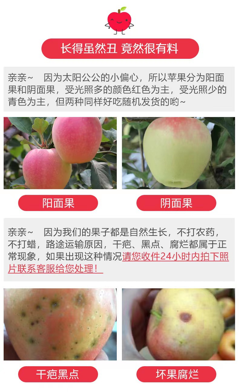 微信图片_20220611084532