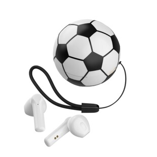 ���籭�����{�����CTWS�������w ����Ԓ�\�Ӷ��CTWS�o�����C