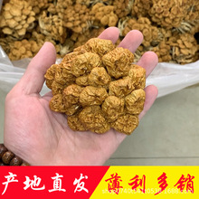 滑子菇产地直销批发烘干滑子蘑干货大朵滑蘑土特产古田滑菇菌菇