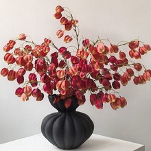 ɻ\滨ٻ[bߙn滨Ӽb