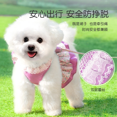 Cat leash anti-breakaway special cat leash small dog harness rope cat leash pet dog leash for walking dogs