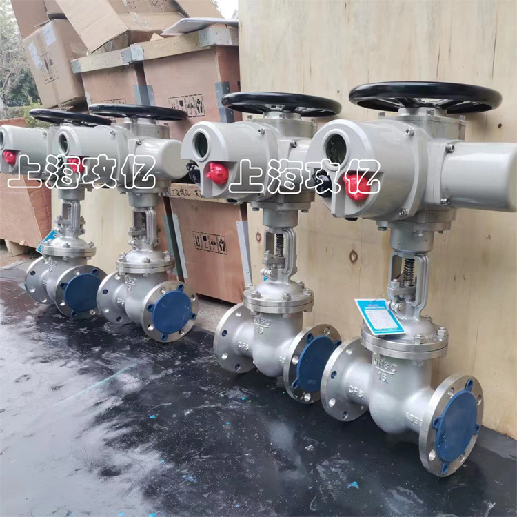 Z941W-16RL DN150闸阀 316不锈钢材质阀门 电动闸阀 防水性能好
