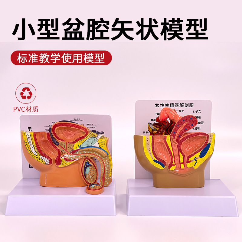 ����Ů����ǻʸ״����ģ��Ů����ֳ����ϵͳС��Ů����ǻ������ʾ