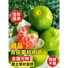 ������Ƥ�۽��ͺ����Ә�������޽��ϱ����Nֲˮ���ļ�����Y��