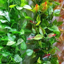 ����Gֲ���ϼٻ��ٗl�Ҿӿ͏d�b����������~�ӾG�}�٘��~����