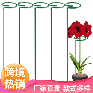 Source Factory Plant Support Frame Flower Frame Steel Wire Single Pole Metal Iron Art Green Plant Support Frame