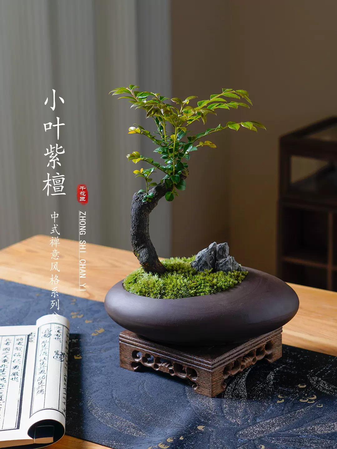 小叶紫檀盆景绿植盆栽室内办公室桌面花卉树苗植物老桩四季好养活