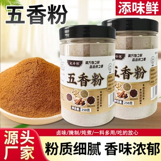 五香粉调料餐饮烧烤店撒料炒菜炖肉香辛料250g瓶装调味五香粉