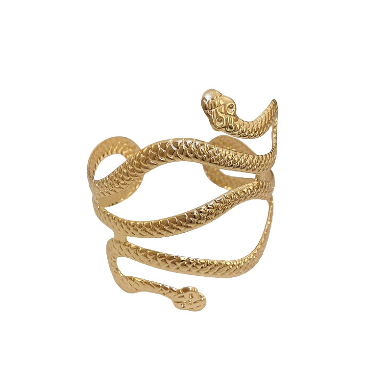 Brazalete de serpiente de doble cabeza envolvente de viento frío de metal europeo y americano, pulsera de todo fósforo de personalidad de alta gama, brazalete de lujo ligero transfronterizo femenino