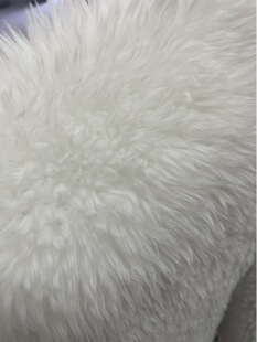 ��ˮë��˹���{�Lë�q��������ëƤ���b����