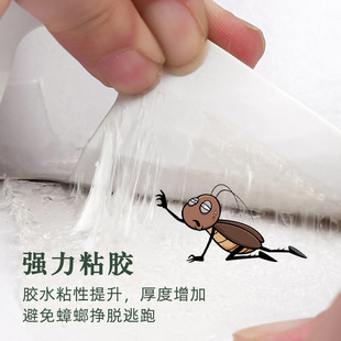 Cross-border Hot-selling Cockroach House Cockroach Sticker Household Kitchen Indoor Effective Cockroach Trapping Device with Bait Wholesale