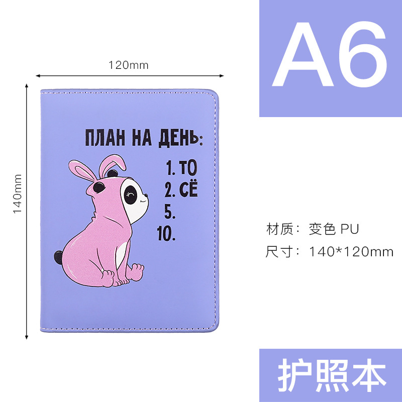 Passport Set Figure 6