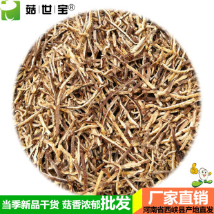 �������㹽�z�l0.3cm�o�s��؛��Ģ�����������������㹽��ަ