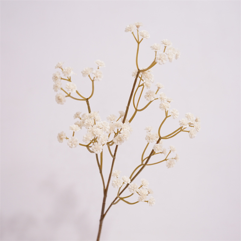 가을 별-화이트